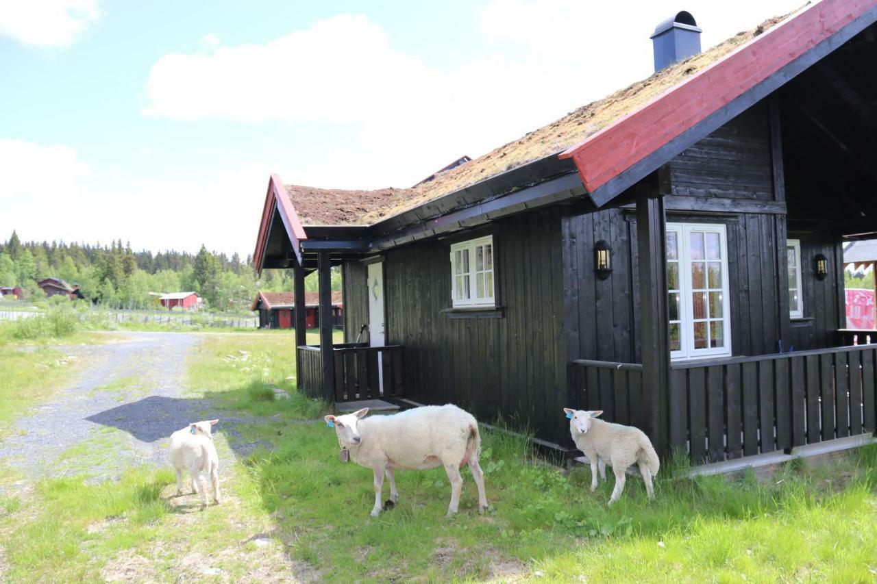 Willa Gamlestolen Fjellstue Etnedal Zewnętrze zdjęcie
